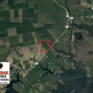 Photo of SOLD!!  218 Acres of Farm and Timber Land in Pamlico County NC!