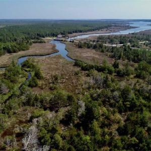 Photo of SOLD!!  218 Acres of Farm and Timber Land in Pamlico County NC!