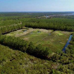 Photo of SOLD!!  218 Acres of Farm and Timber Land in Pamlico County NC!