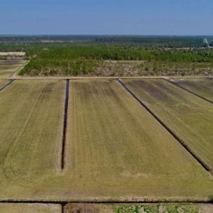 Photo of SOLD!!  218 Acres of Farm and Timber Land in Pamlico County NC!