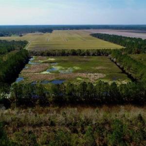 Photo of SOLD!!  218 Acres of Farm and Timber Land in Pamlico County NC!