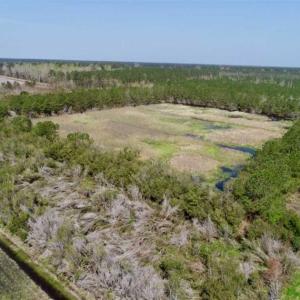 Photo of SOLD!!  218 Acres of Farm and Timber Land in Pamlico County NC!