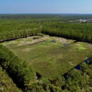 Photo of SOLD!!  218 Acres of Farm and Timber Land in Pamlico County NC!