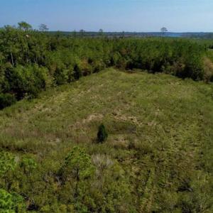 Photo of SOLD!!  218 Acres of Farm and Timber Land in Pamlico County NC!