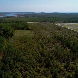 Photo of SOLD!!  218 Acres of Farm and Timber Land in Pamlico County NC!