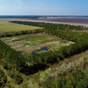 Photo of SOLD!!  218 Acres of Farm and Timber Land in Pamlico County NC!