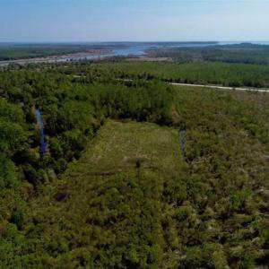 Photo of SOLD!!  218 Acres of Farm and Timber Land in Pamlico County NC!