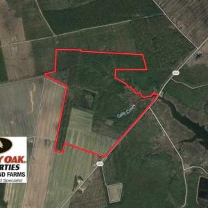 Photo of SOLD!!  218 Acres of Farm and Timber Land in Pamlico County NC!