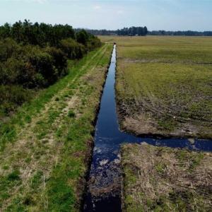 Photo of SOLD!!  218 Acres of Farm and Timber Land in Pamlico County NC!