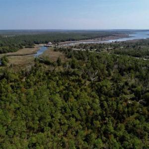 Photo of SOLD!!  218 Acres of Farm and Timber Land in Pamlico County NC!