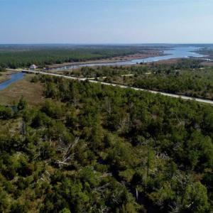 Photo of SOLD!!  218 Acres of Farm and Timber Land in Pamlico County NC!