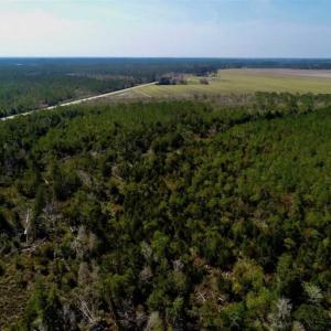 Photo of SOLD!!  218 Acres of Farm and Timber Land in Pamlico County NC!