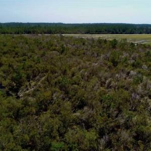 Photo of SOLD!!  218 Acres of Farm and Timber Land in Pamlico County NC!
