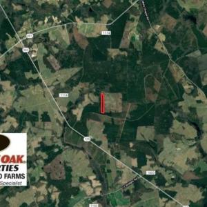 Photo of SOLD!!  19.5 Acres of Hunting and Timber Land for Sale in Halifax County NC!