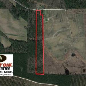 Photo of SOLD!!  19.5 Acres of Hunting and Timber Land for Sale in Halifax County NC!