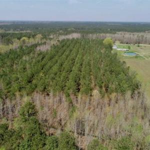 Photo of SOLD!!  19.5 Acres of Hunting and Timber Land for Sale in Halifax County NC!
