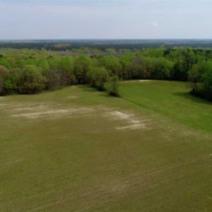 Photo of REDUCED! 49 Acres of Farm and Timber Land For Sale in Halifax County NC!