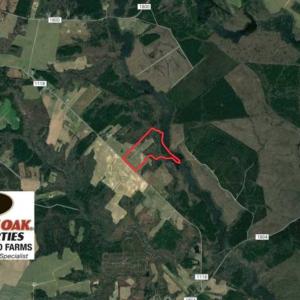 Photo of REDUCED! 49 Acres of Farm and Timber Land For Sale in Halifax County NC!