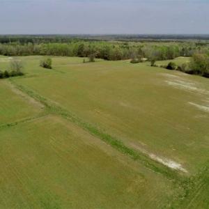 Photo of REDUCED! 49 Acres of Farm and Timber Land For Sale in Halifax County NC!