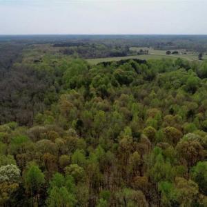 Photo of REDUCED! 49 Acres of Farm and Timber Land For Sale in Halifax County NC!