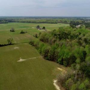 Photo of REDUCED! 49 Acres of Farm and Timber Land For Sale in Halifax County NC!