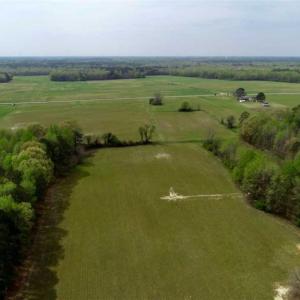 Photo of REDUCED! 49 Acres of Farm and Timber Land For Sale in Halifax County NC!