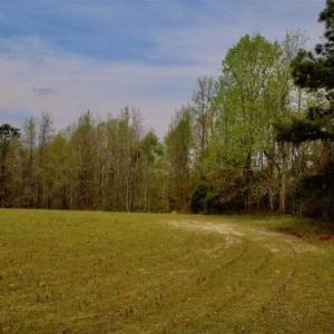 Photo of REDUCED! 49 Acres of Farm and Timber Land For Sale in Halifax County NC!