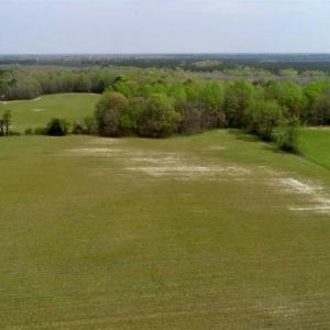 Photo of REDUCED! 49 Acres of Farm and Timber Land For Sale in Halifax County NC!