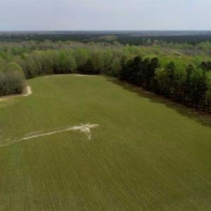 Photo of REDUCED! 49 Acres of Farm and Timber Land For Sale in Halifax County NC!