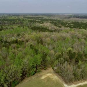 Photo of REDUCED! 49 Acres of Farm and Timber Land For Sale in Halifax County NC!