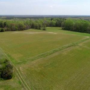Photo of REDUCED! 49 Acres of Farm and Timber Land For Sale in Halifax County NC!