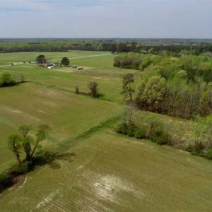 Photo of REDUCED! 49 Acres of Farm and Timber Land For Sale in Halifax County NC!