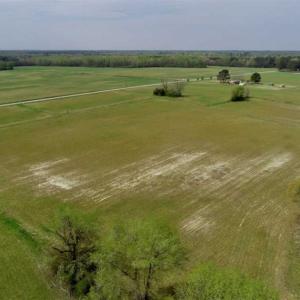 Photo of REDUCED! 49 Acres of Farm and Timber Land For Sale in Halifax County NC!