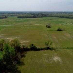 Photo of REDUCED! 49 Acres of Farm and Timber Land For Sale in Halifax County NC!