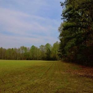 Photo of REDUCED! 49 Acres of Farm and Timber Land For Sale in Halifax County NC!