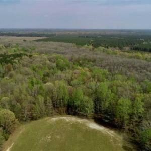 Photo of REDUCED! 49 Acres of Farm and Timber Land For Sale in Halifax County NC!