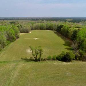 Photo of REDUCED! 49 Acres of Farm and Timber Land For Sale in Halifax County NC!