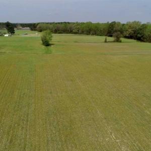 Photo of REDUCED! 49 Acres of Farm and Timber Land For Sale in Halifax County NC!