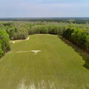 Photo of REDUCED! 49 Acres of Farm and Timber Land For Sale in Halifax County NC!
