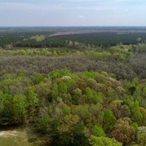 Photo of REDUCED! 49 Acres of Farm and Timber Land For Sale in Halifax County NC!