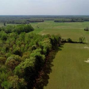 Photo of REDUCED! 49 Acres of Farm and Timber Land For Sale in Halifax County NC!