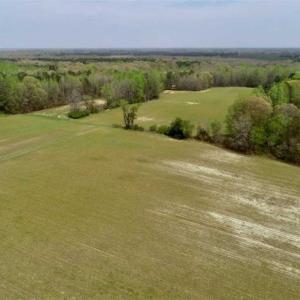 Photo of REDUCED! 49 Acres of Farm and Timber Land For Sale in Halifax County NC!