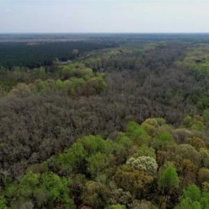 Photo of REDUCED! 49 Acres of Farm and Timber Land For Sale in Halifax County NC!