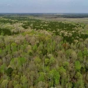 Photo of REDUCED! 49 Acres of Farm and Timber Land For Sale in Halifax County NC!