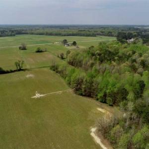 Photo of REDUCED! 49 Acres of Farm and Timber Land For Sale in Halifax County NC!