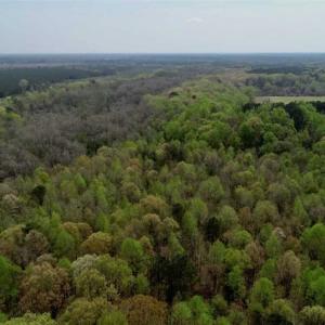 Photo of REDUCED! 49 Acres of Farm and Timber Land For Sale in Halifax County NC!