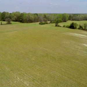 Photo of REDUCED! 49 Acres of Farm and Timber Land For Sale in Halifax County NC!