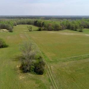 Photo of REDUCED! 49 Acres of Farm and Timber Land For Sale in Halifax County NC!