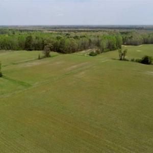 Photo of REDUCED! 49 Acres of Farm and Timber Land For Sale in Halifax County NC!