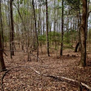 Photo of REDUCED! 49 Acres of Farm and Timber Land For Sale in Halifax County NC!